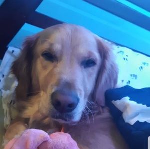 Meet your Posher, Beth